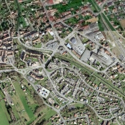 Delle map(satellite map)
