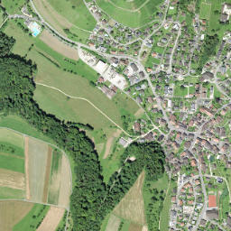 Buus map(satellite map)