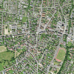 Therwil map(satellite map)