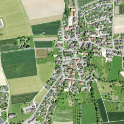 Steinmaur map(satellite map)
