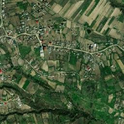 Poiana map(satellite map)
