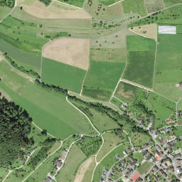 Wittnau map(satellite map)