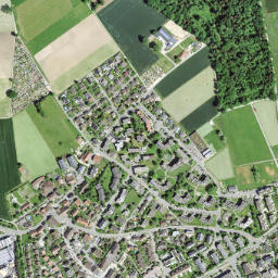 Niederhasli map(satellite map)