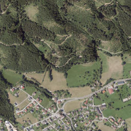 Parschlug map(satellite map)