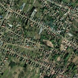 Kóka map(satellite map)
