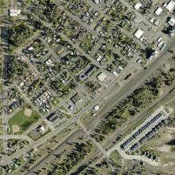 Cheney map(satellite map)