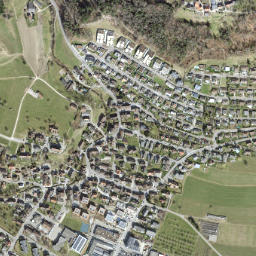 Zuzwil map(satellite map)