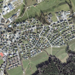 Waldkirch map(satellite map)