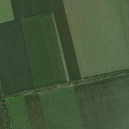 Mykolayivs’kyy Rayon map(satellite map)