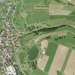 Wölflinswil map(satellite map)