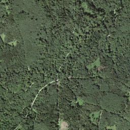 Bezirk Baden map(satellite map)