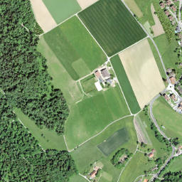 Birchwil map(satellite map)