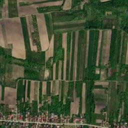 Vicea map(satellite map)