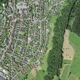 Bubendorf map(satellite map)