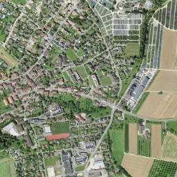 Schinznach Dorf map(satellite map)