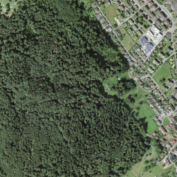 Neuenhof map(satellite map)