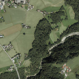 Lingenau map(satellite map)