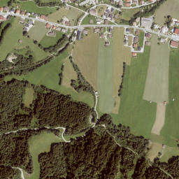 Niederau map(satellite map)
