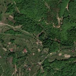 Groape map(satellite map)