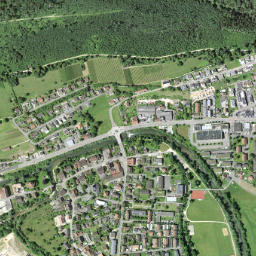 Zwingen map(satellite map)