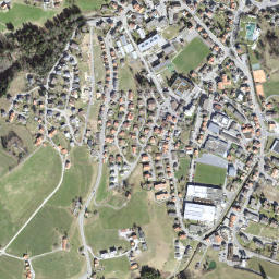 Heiden map(satellite map)