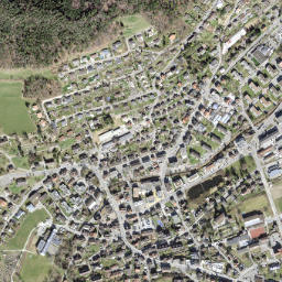 Oberuzwil map(satellite map)