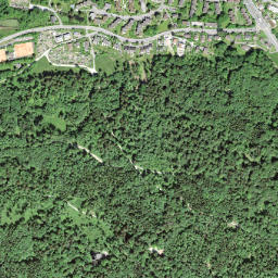 Regensdorf / Obstgarten map(satellite map)