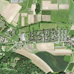 Zürich (Kreis 11) / Schwandenholz map(satellite map)