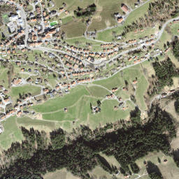 Rehetobel map(satellite map)
