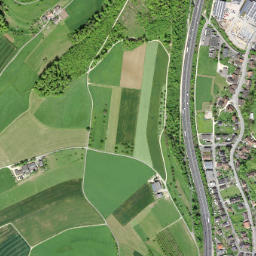 Diegten map(satellite map)
