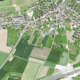 Weiningen map(satellite map)