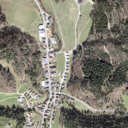 Fischingen map(satellite map)