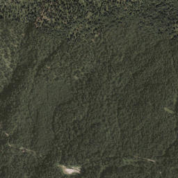 Politischer Bezirk Reutte map(satellite map)