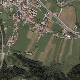 Bichlbach map(satellite map)