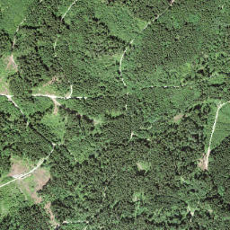 Bezirk Pfäffikon map(satellite map)