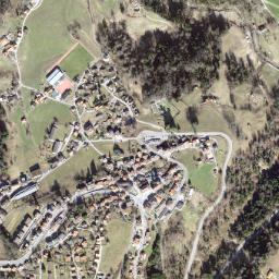 Trogen map(satellite map)