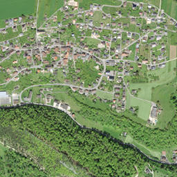 Liesberg map(satellite map)