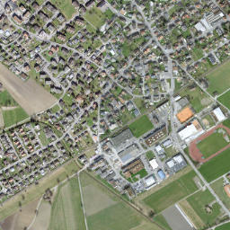 Balgach map(satellite map)