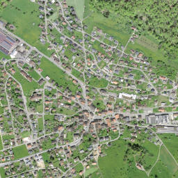 Nunningen map(satellite map)