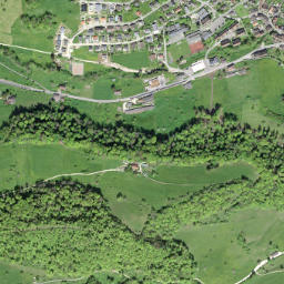Reigoldswil map(satellite map)