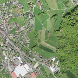 Läufelfingen map(satellite map)