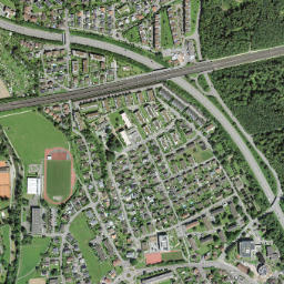 Buchs map(satellite map)