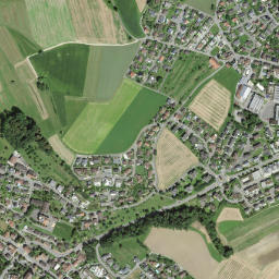 Dottikon map(satellite map)