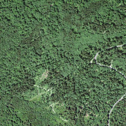 Bezirk Dietikon map(satellite map)
