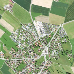 Gutenswil map(satellite map)