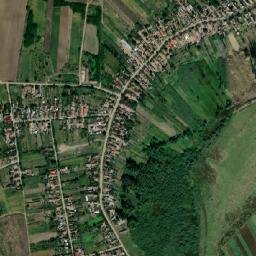 Albiș map(satellite map)