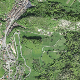 Waldenburg map(satellite map)