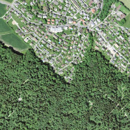 Gockhausen map(satellite map)