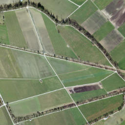 Wahlkreis Rheintal map(satellite map)