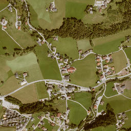 Forstau map(satellite map)